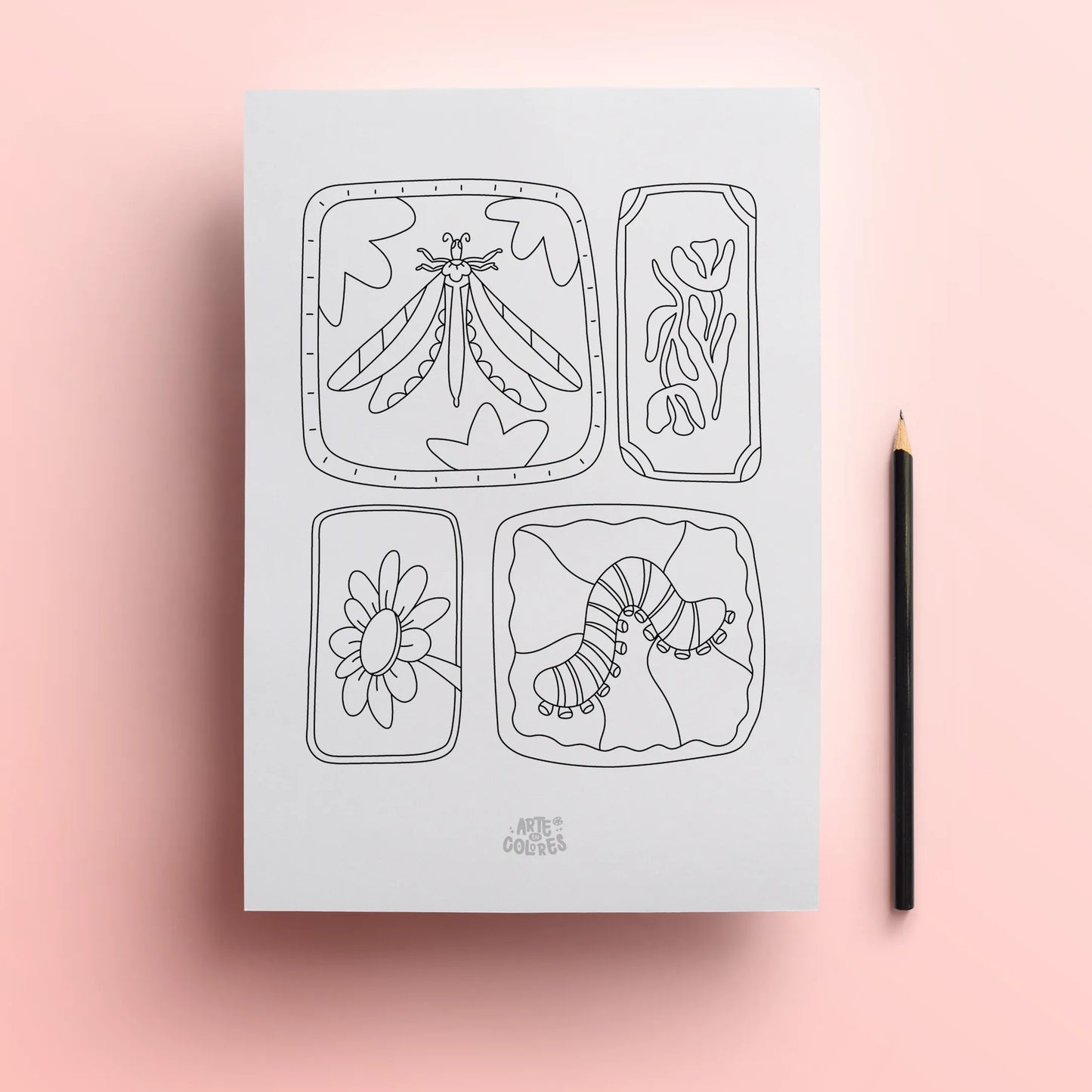 Pack 6 láminas para colorear