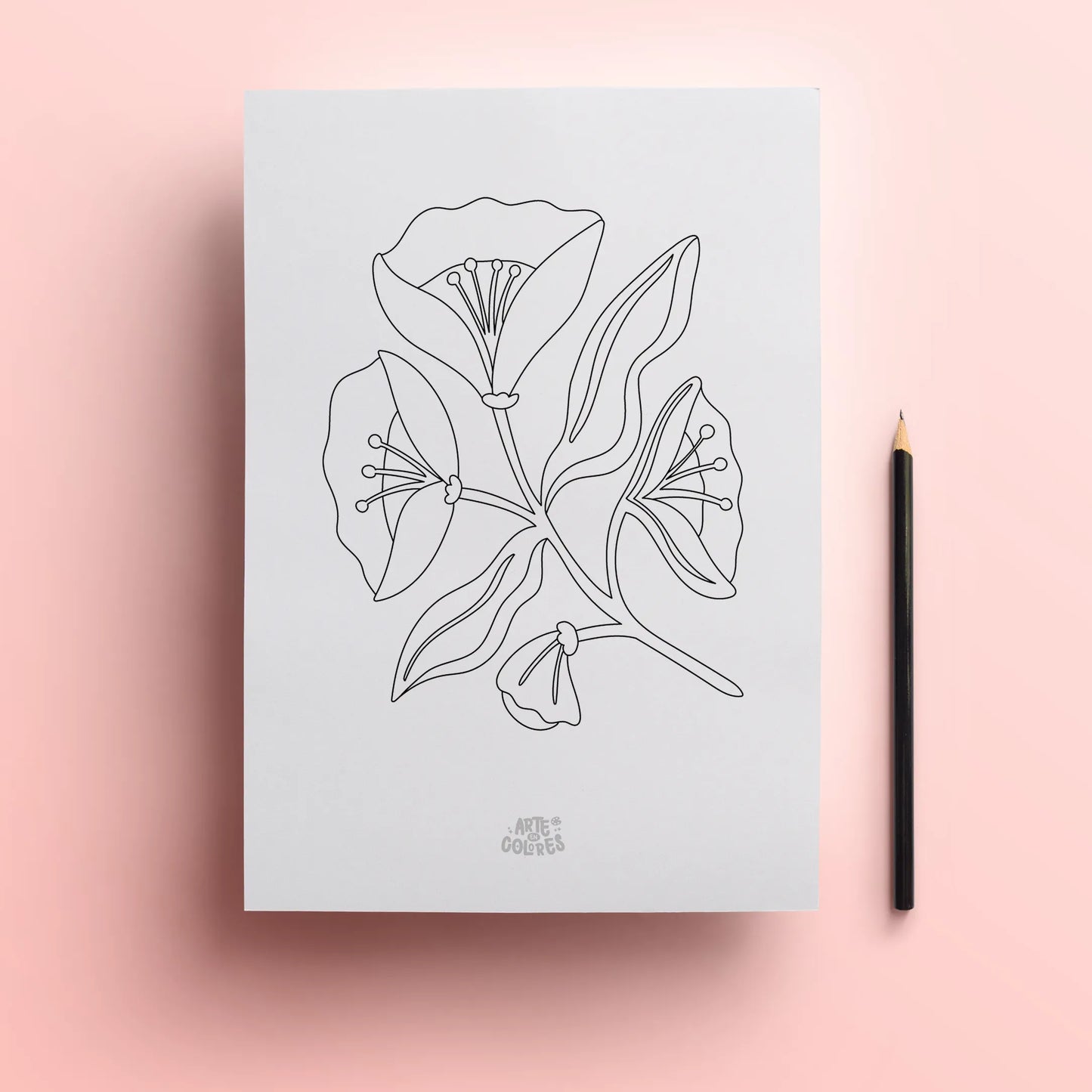 Pack 6 láminas para colorear