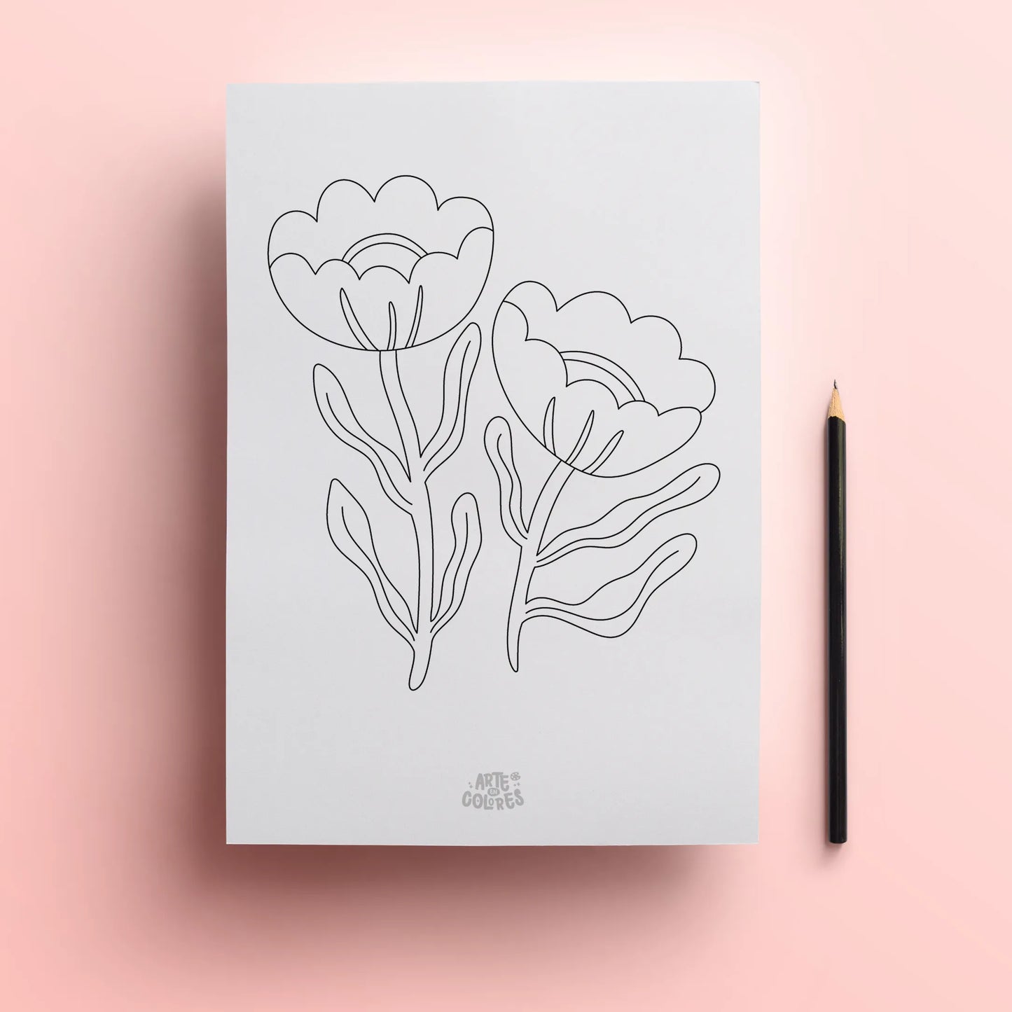 Pack 6 láminas para colorear